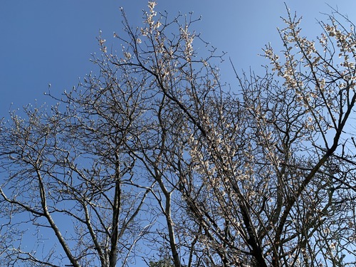 1C3BE845-25AC-494C-BFBA-C951A29BA529.jpeg