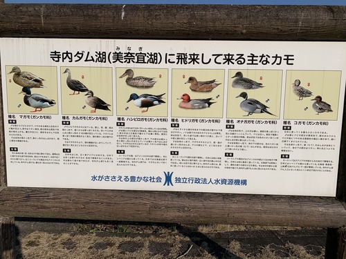 65B7453E-E1F5-4F5B-ACAC-740F70893046.jpeg