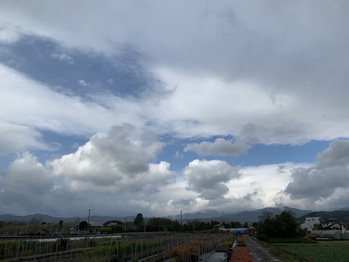 B713773A-AD63-42CE-B623-025D4A8C9A9F.jpeg