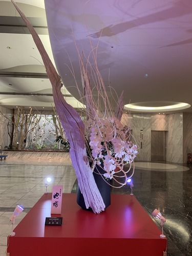 BD795B17-6440-4CA0-A039-B4BDDBDDCD50.jpeg