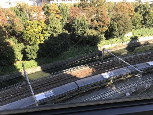 DCA013DF-DB53-4D2D-9273-ED3F49EED900.jpeg