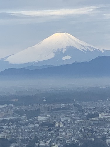 FC9630E1-388B-4295-9D0C-0BFAC50D5055.jpeg